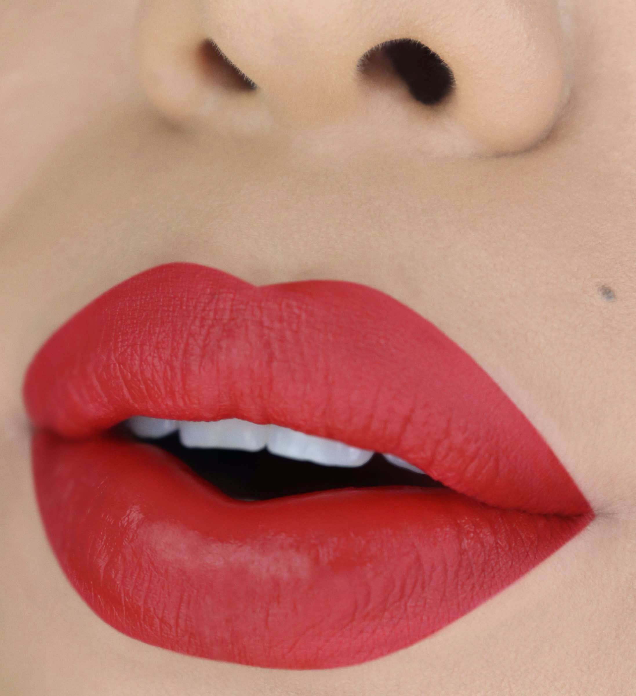 Matte Liquid Lips 026 - Brick -L149