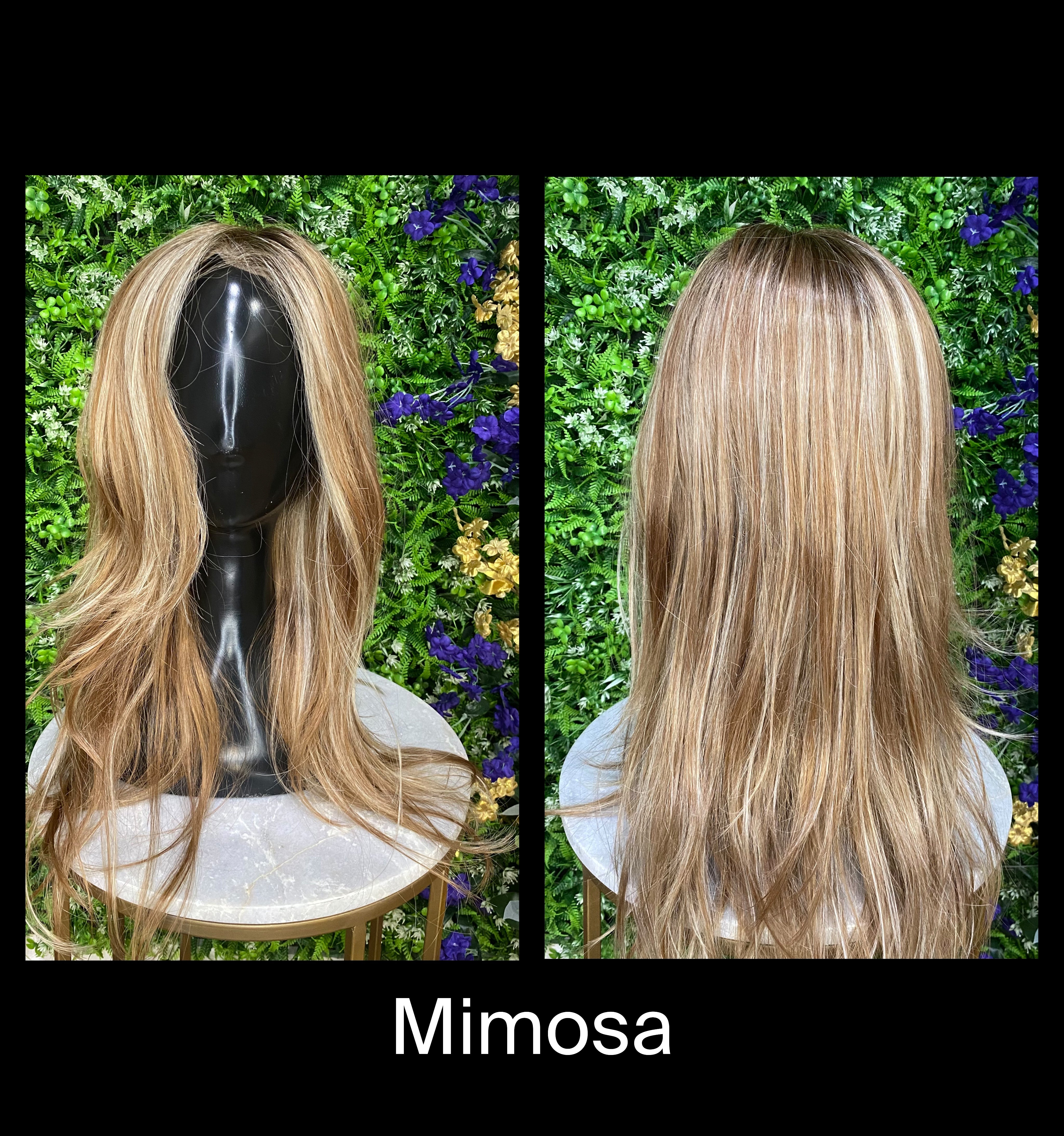 Mimosa